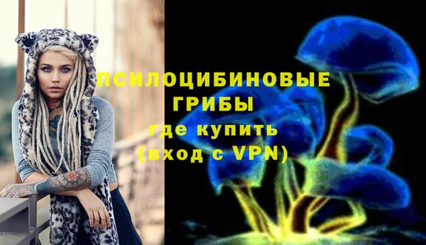 прущие крисы Абаза