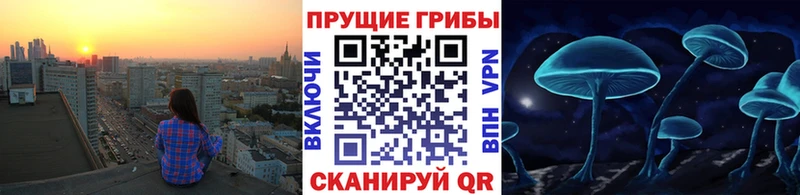 маркетплейс какой сайт  Ханты-Мансийск  Псилоцибиновые грибы GOLDEN TEACHER  наркотики 